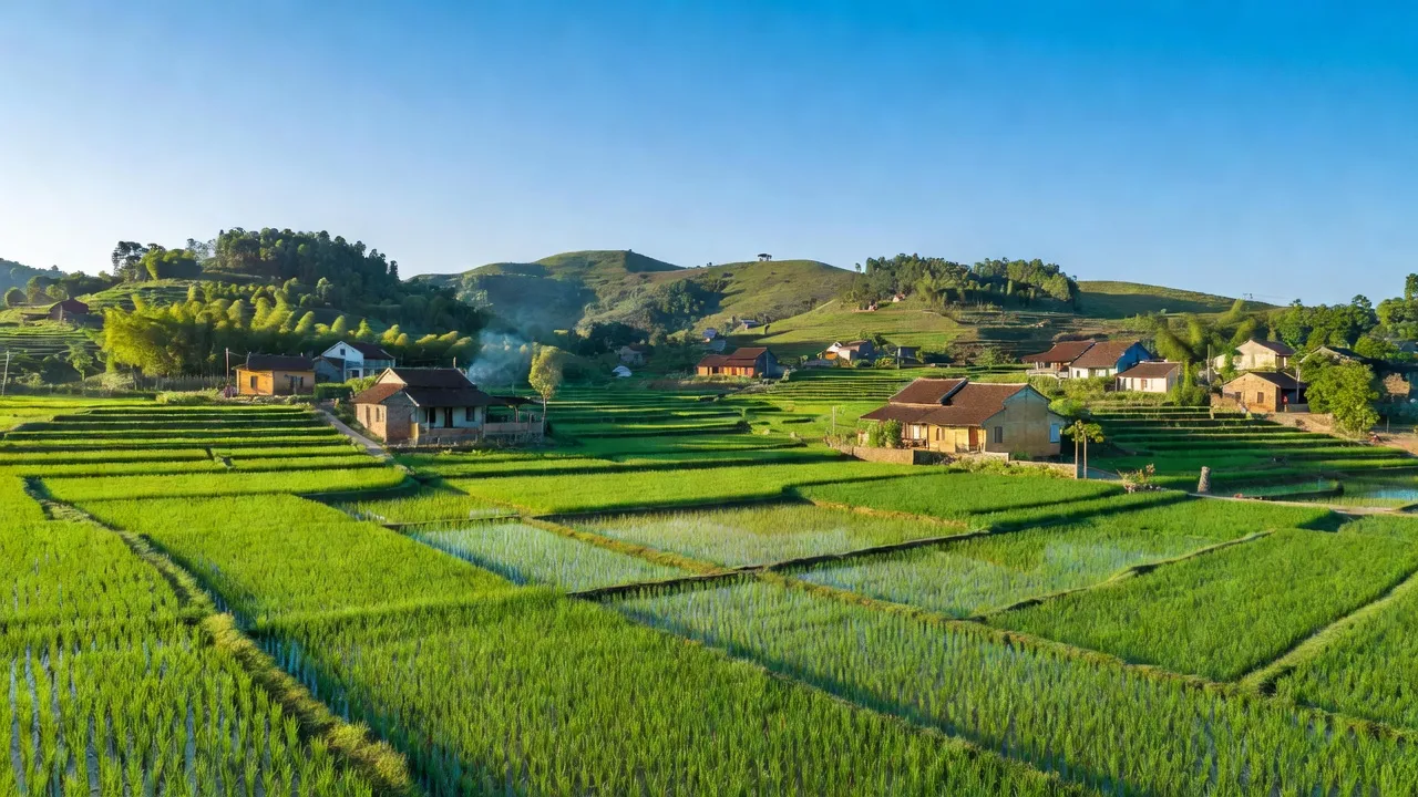 Tiên Kiên - hình ảnh minh họa 1