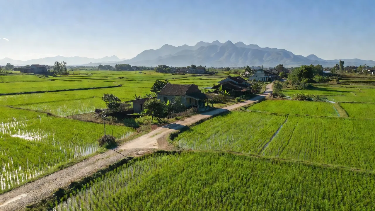 Cảnh đẹp huyện Phù Ninh, tỉnh Phú Thọ với cánh đồng xanh và núi non hùng vĩ.