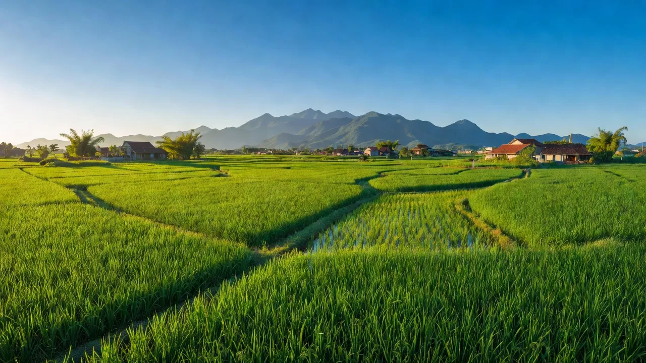 Cảnh quan xã Phú Nham, huyện Phù Ninh, xanh mát với cánh đồng và núi, thời tiết đẹp.