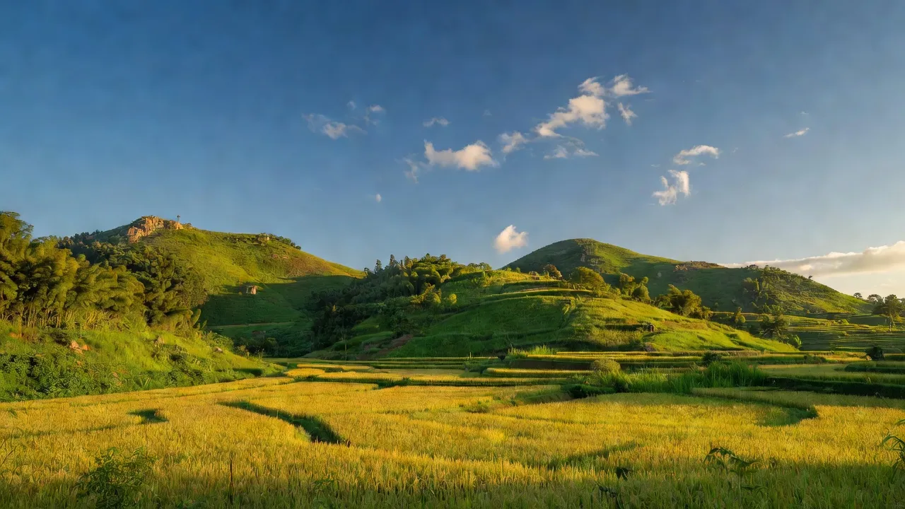 Khung cảnh đồi núi và cánh đồng lúa vàng tại xã Tiên Phú, huyện Phù Ninh, tỉnh Phú Thọ.