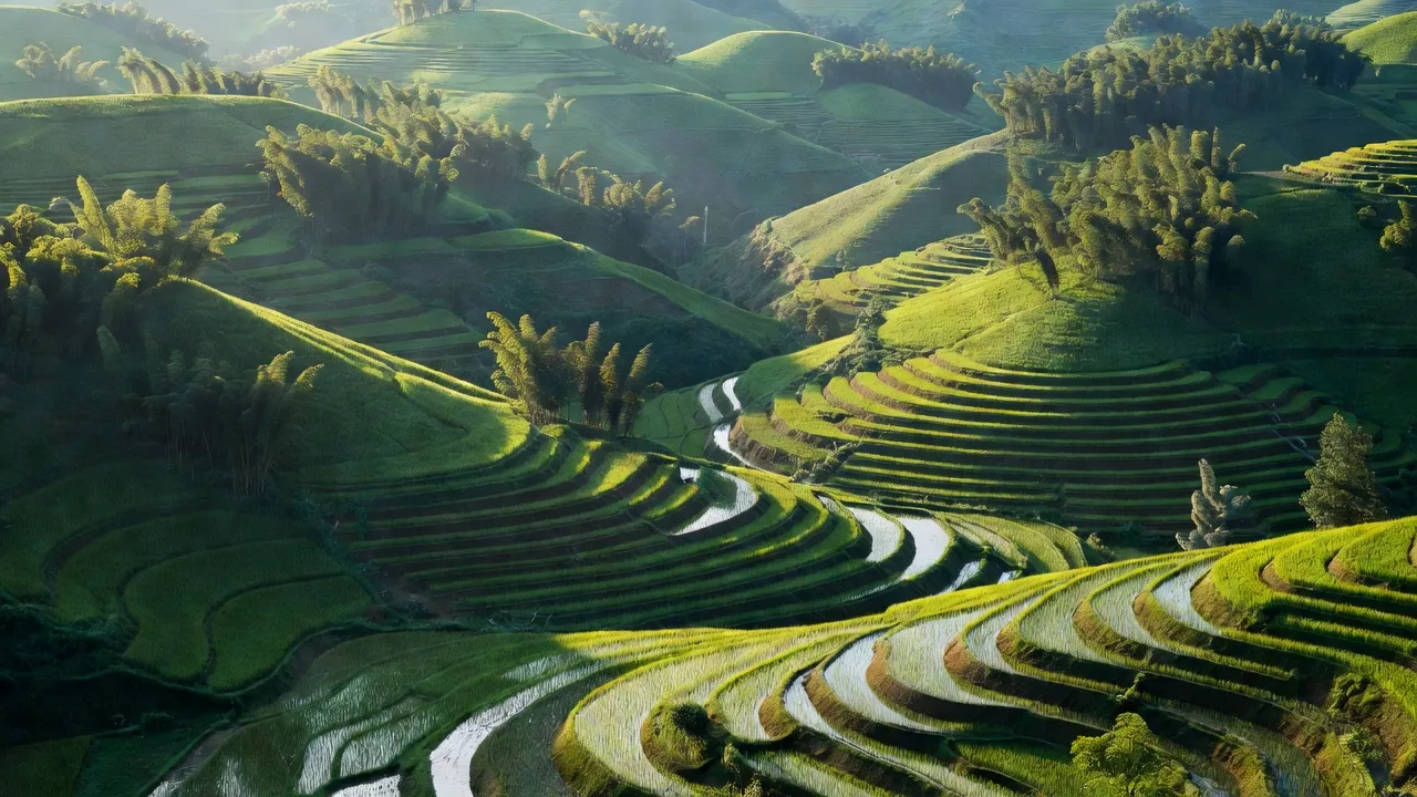 Cảnh sắc xã Dị Nậu, Tam Nông, Phú Thọ với đồi núi, thung lũng và ruộng bậc thang.