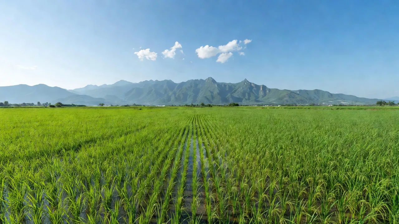 Đồng Trung - hình ảnh minh họa 1