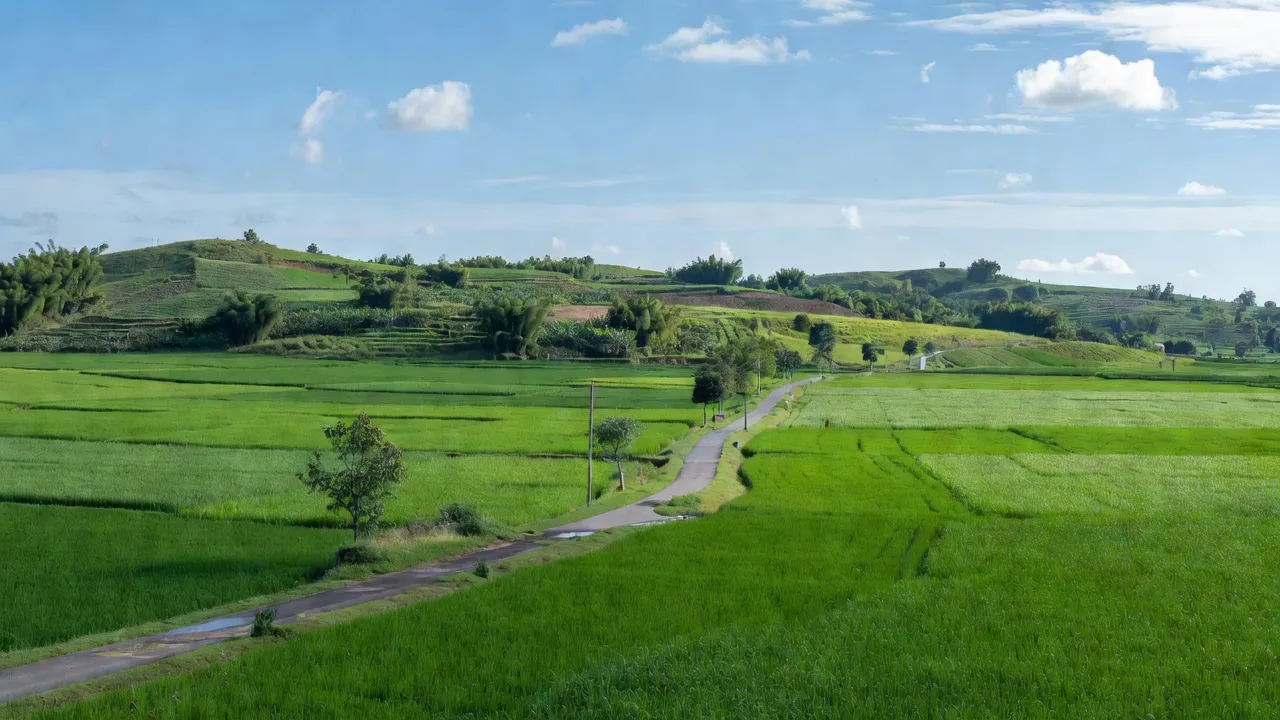 Xã Thụy Vân, Thành phố Việt Trì, Tỉnh Phú Thọ