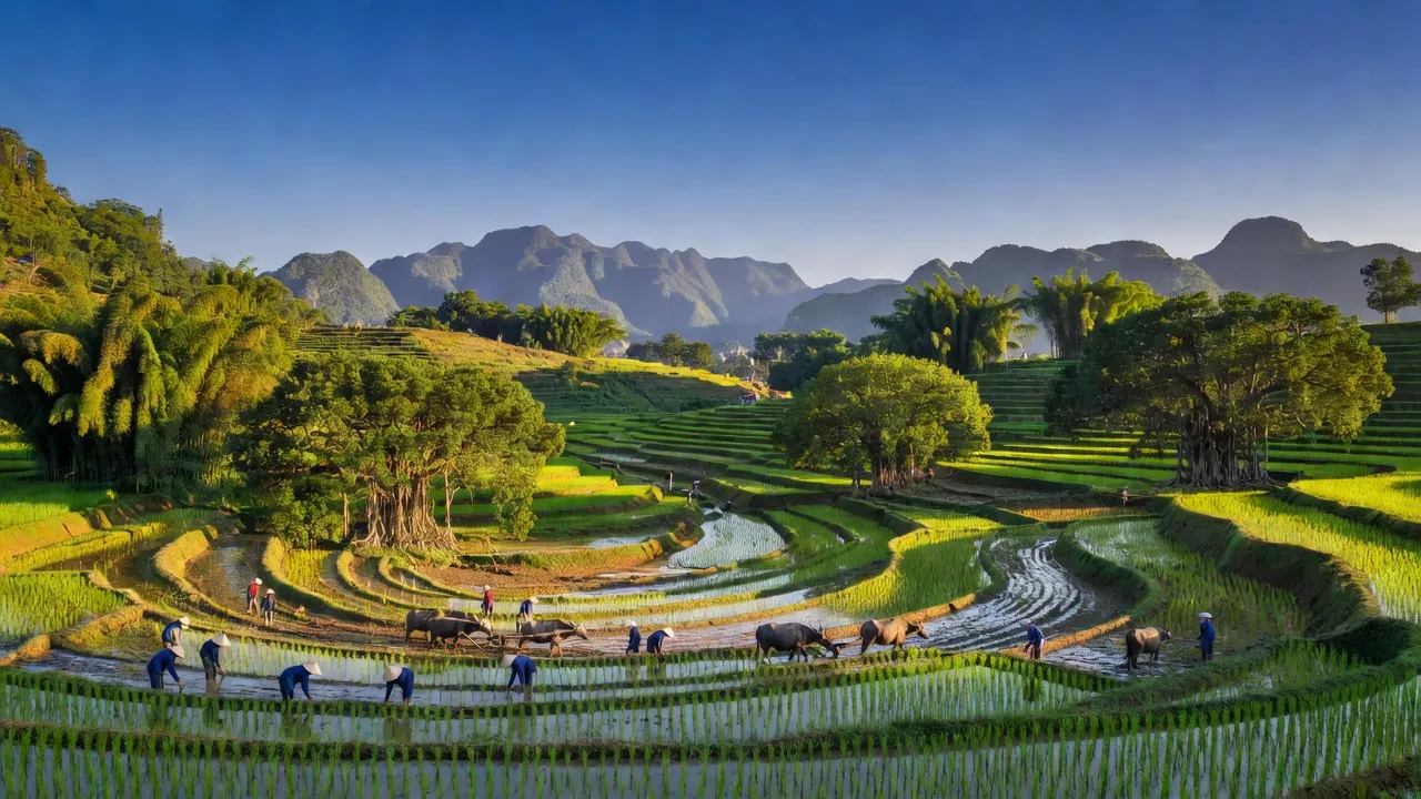 Cảnh đẹp xã Ngọc Đồng, huyện Yên Lập, tỉnh Phú Thọ với địa hình đồi núi, cánh đồng xanh.