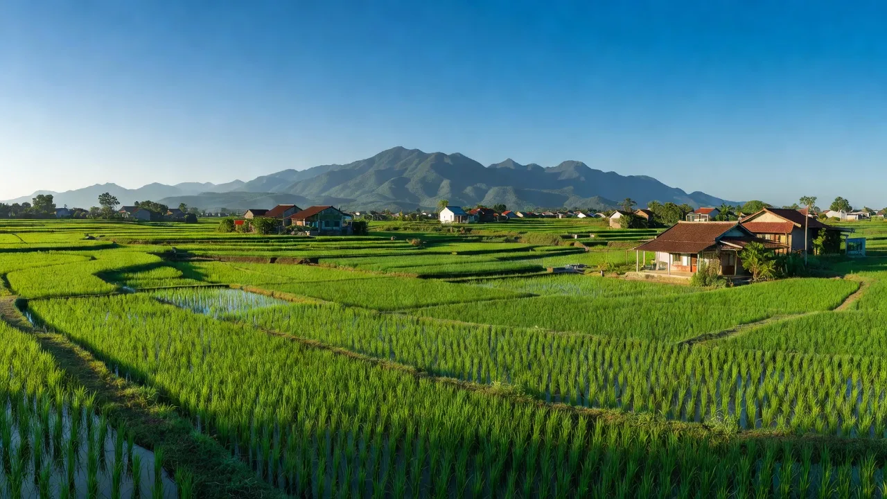 Khung cảnh thiên nhiên tại xã Hòa Thành, Thị xã Đông Hòa, tỉnh Phú Yên với ruộng bậc thang và trời xanh.