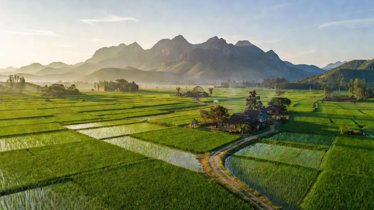 Cảnh quan xã Đa Lộc, huyện Đồng Xuân, Phú Yên với đồng xanh và núi đẹp. Green landscape of Da Loc, Dong Xuan, Phu Yen.
