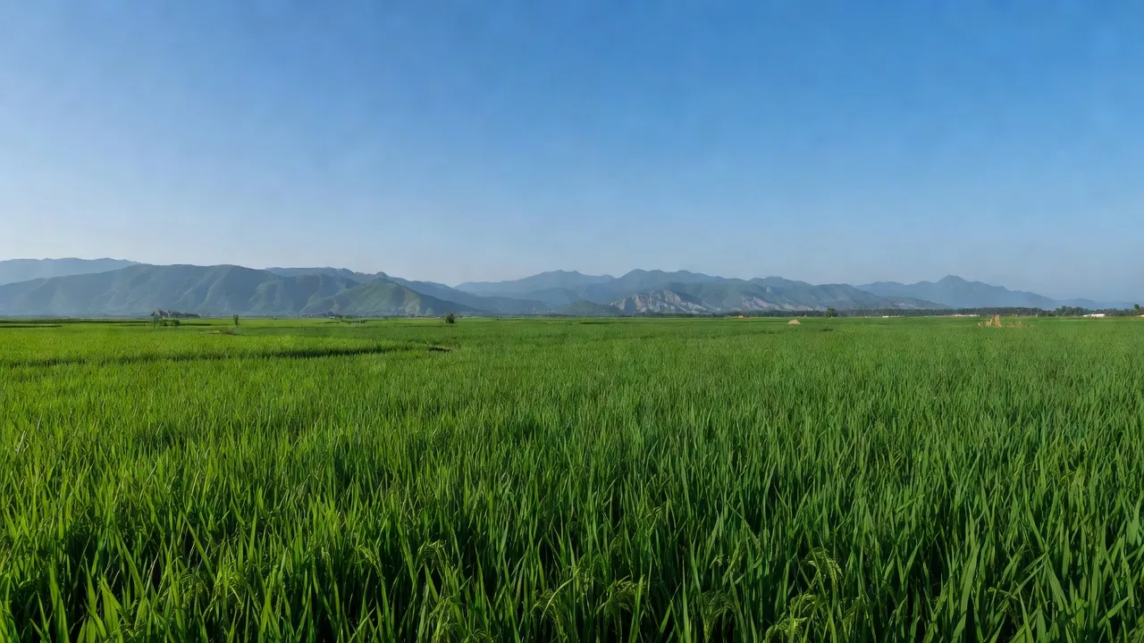 Hòa Quang Bắc - hình ảnh minh họa 1