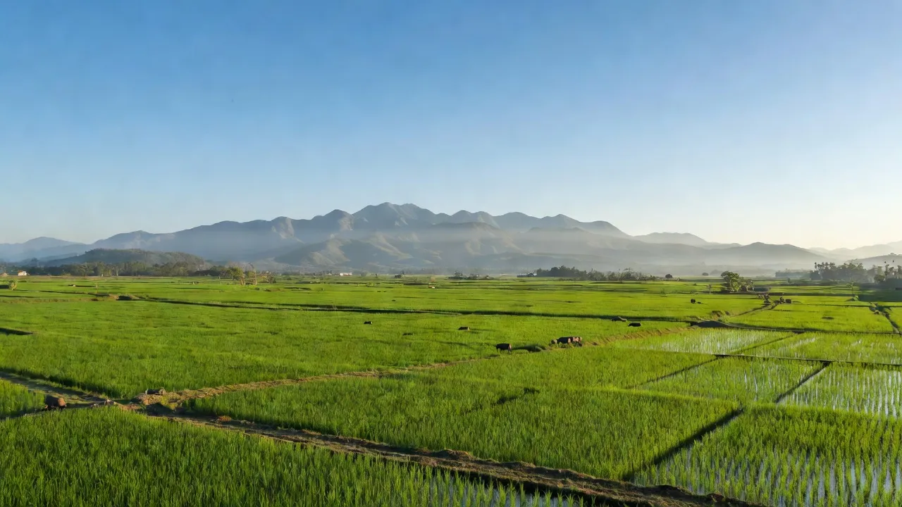 Cảnh quan nông thôn xanh tươi ở xã Krông Pa, huyện Sơn Hòa, tỉnh Phú Yên, Việt Nam.