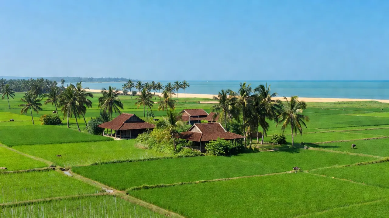 Xã Đại Trạch, Huyện Bố Trạch, Tỉnh Quảng Bình