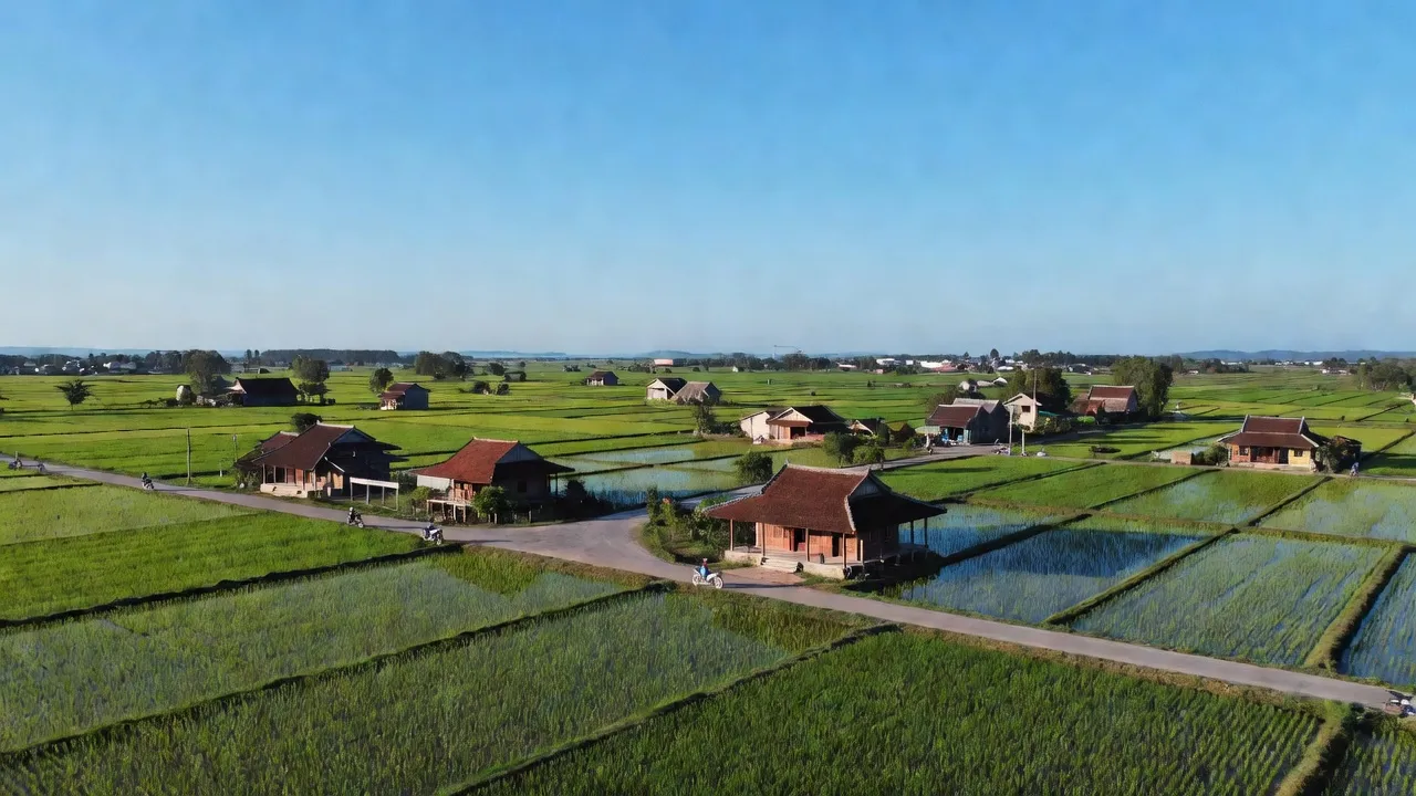 Cảnh đẹp xã Nghĩa Ninh, Đồng Hới, Quảng Bình với cánh đồng xanh và nhà truyền thống.