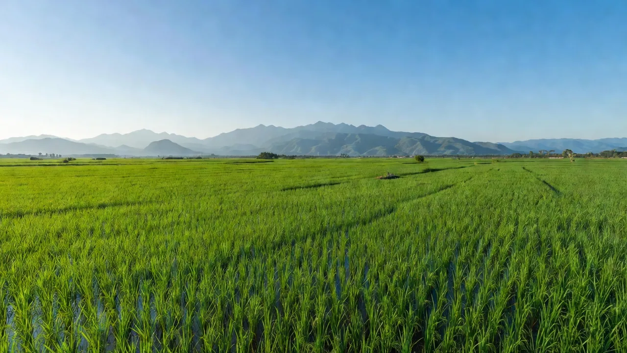 Huyện Lệ Thủy, Tỉnh Quảng Bình - Giới thiệu quận huyện