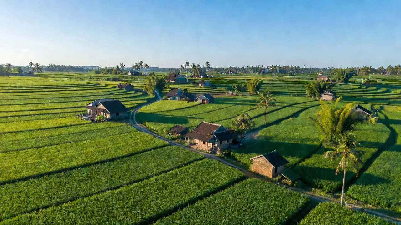 Cảnh sắc xã Phong Thủy, huyện Lệ Thủy, Quảng Bình với đồng ruộng xanh và nhà truyền thống.