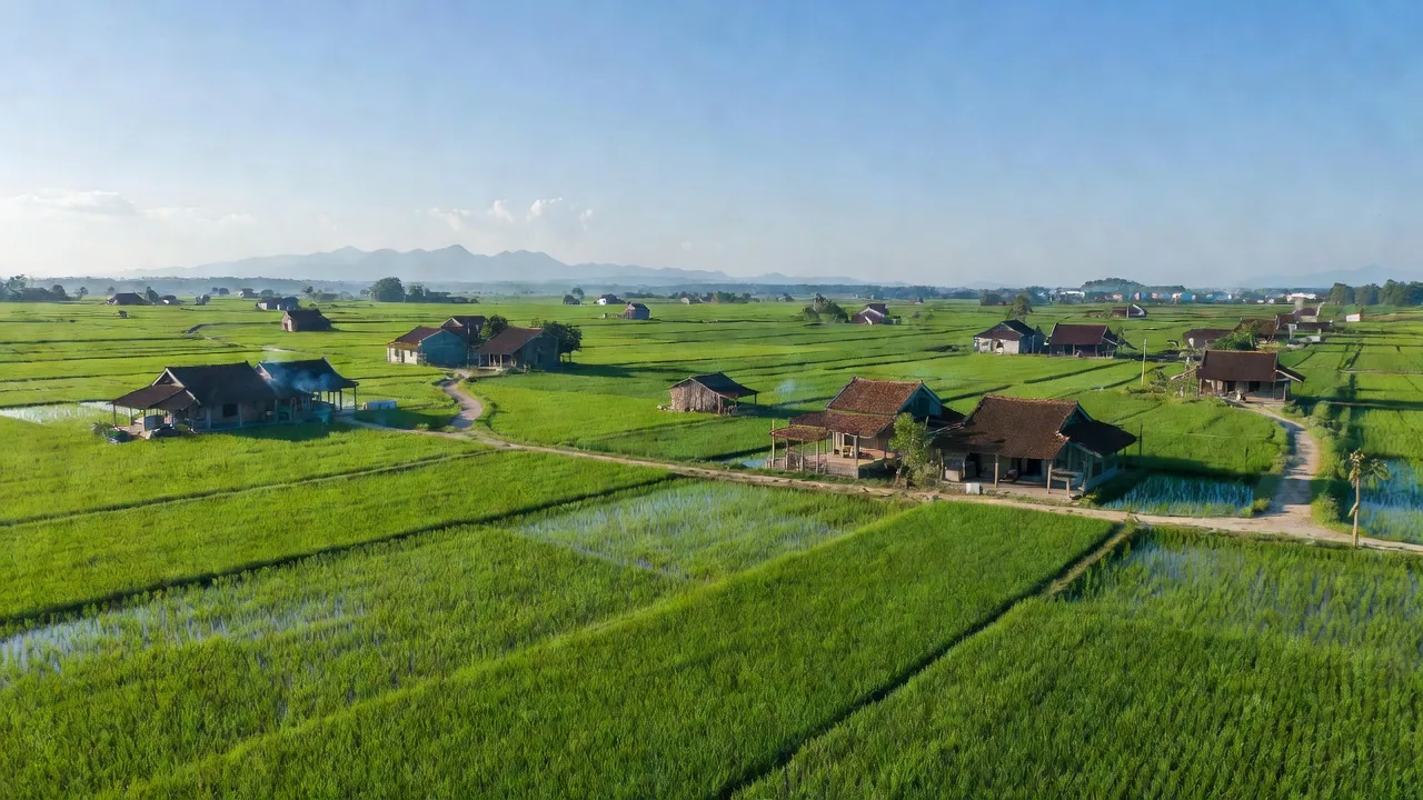 Khung cảnh yên bình của xã An Ninh, huyện Quảng Ninh, tỉnh Quảng Bình với cánh đồng xanh.