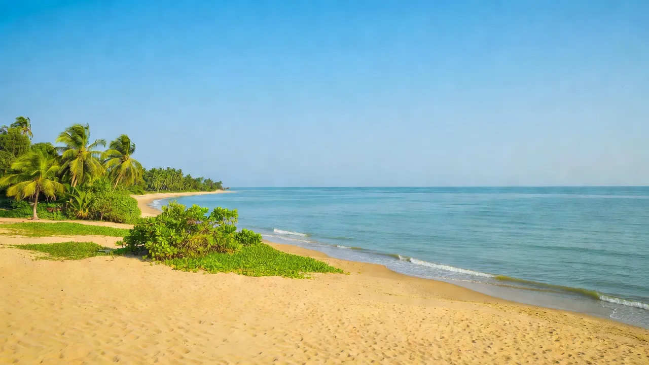 Xã Tân Ninh, Huyện Quảng Ninh, Tỉnh Quảng Bình