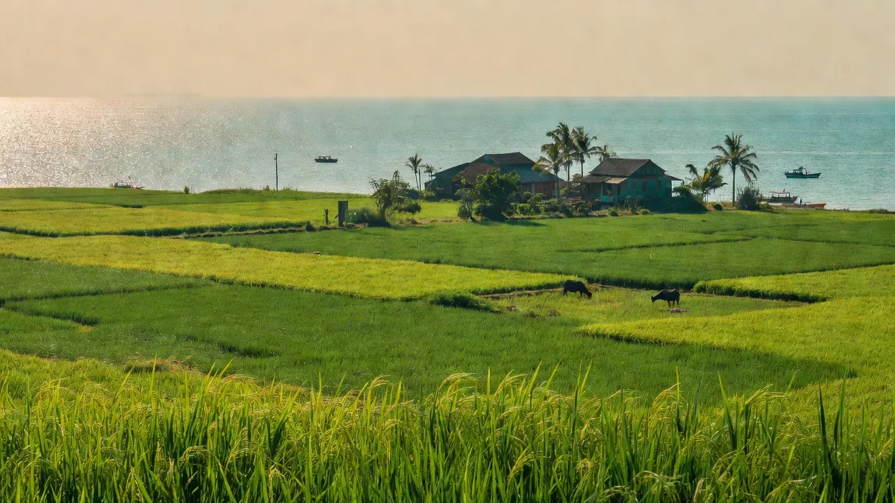 Cảnh quan xã Vĩnh Ninh, huyện Quảng Ninh, tỉnh Quảng Bình, với biển và cánh đồng nông nghiệp xanh.