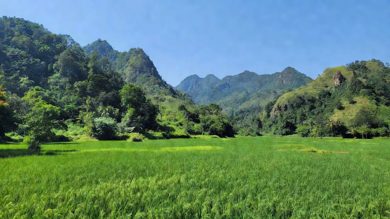 Huyện Đại Lộc, Quảng Nam với cảnh đẹp cánh đồng và núi non, kết nối văn hóa miền núi và đồng bằng.
