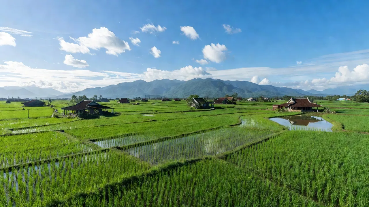 Xã Đại Chánh, Huyện Đại Lộc, Tỉnh Quảng Nam