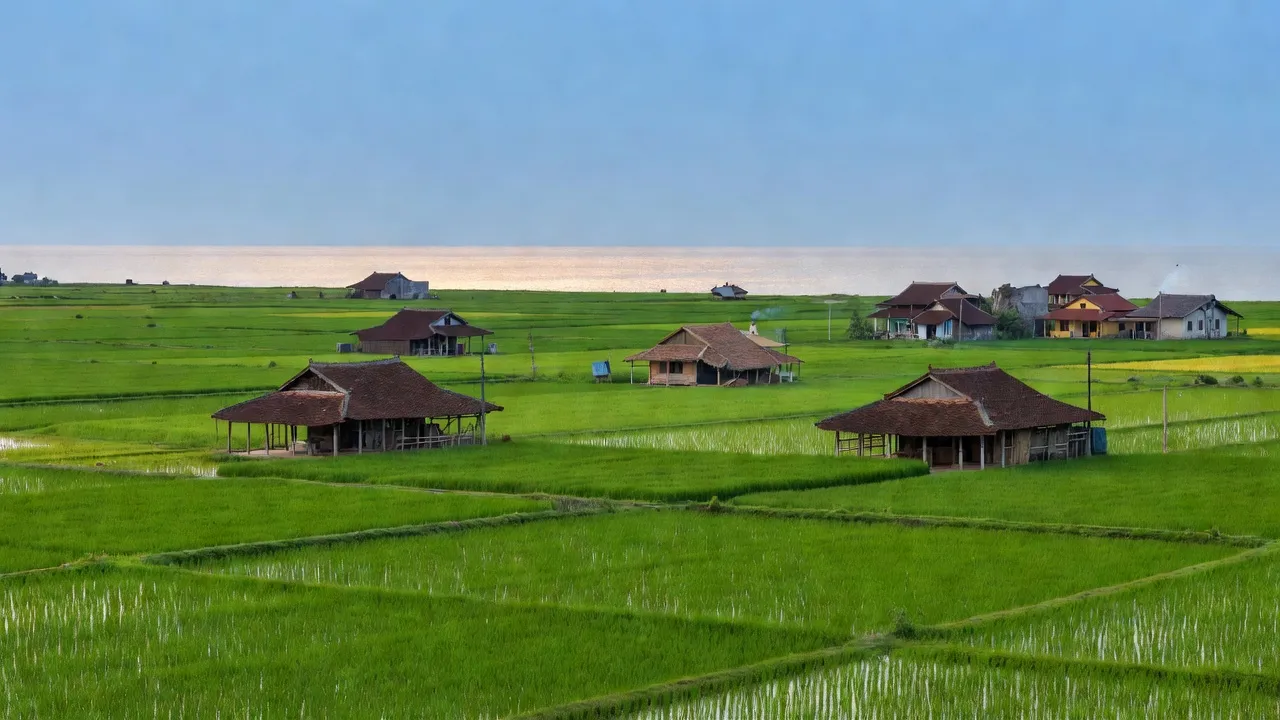 Khung cảnh êm đềm của xã Duy Sơn, huyện Duy Xuyên, Quảng Nam với đồng xanh và nhà truyền thống.