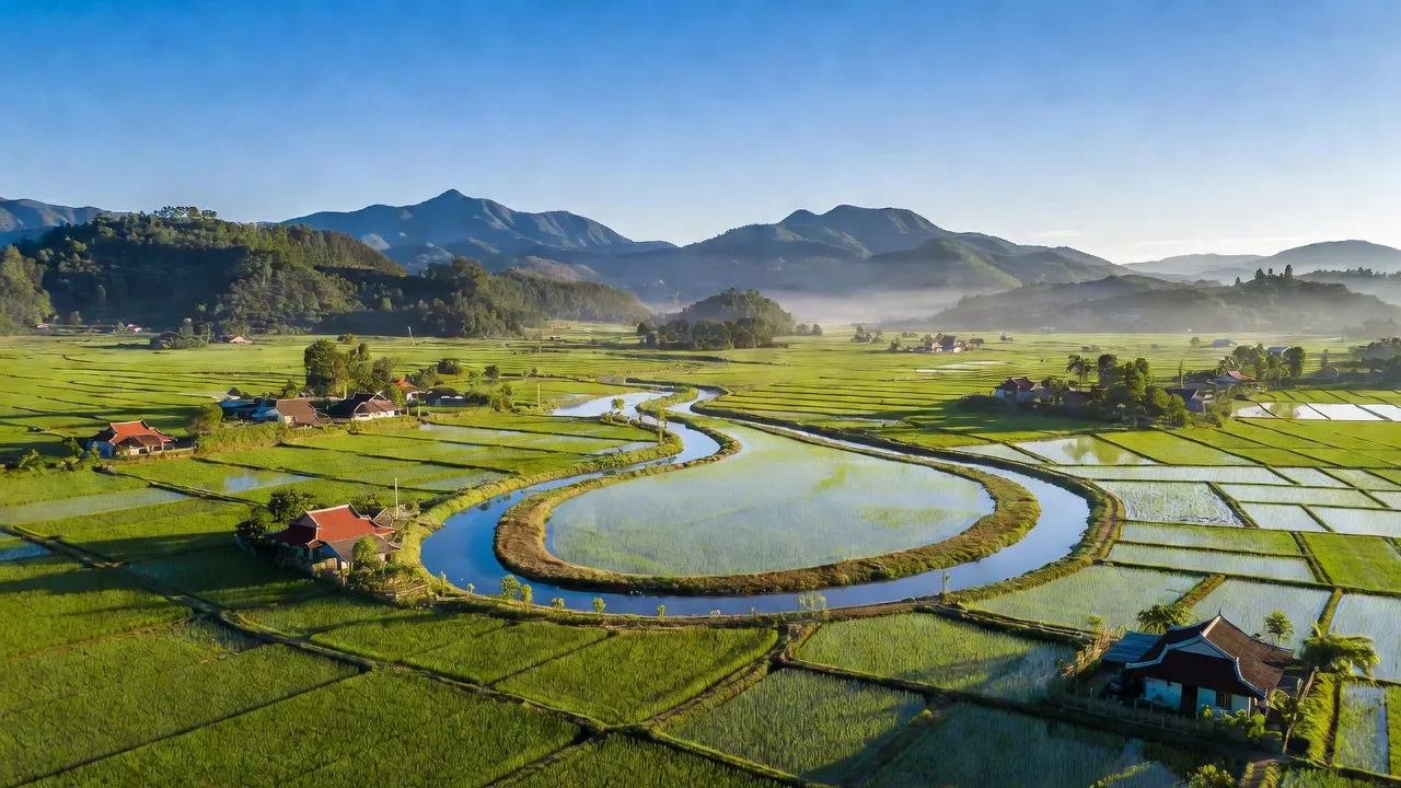 Khung cảnh xã Duy Trung, huyện Duy Xuyên, Quảng Nam với ruộng lúa xanh và sông nước.