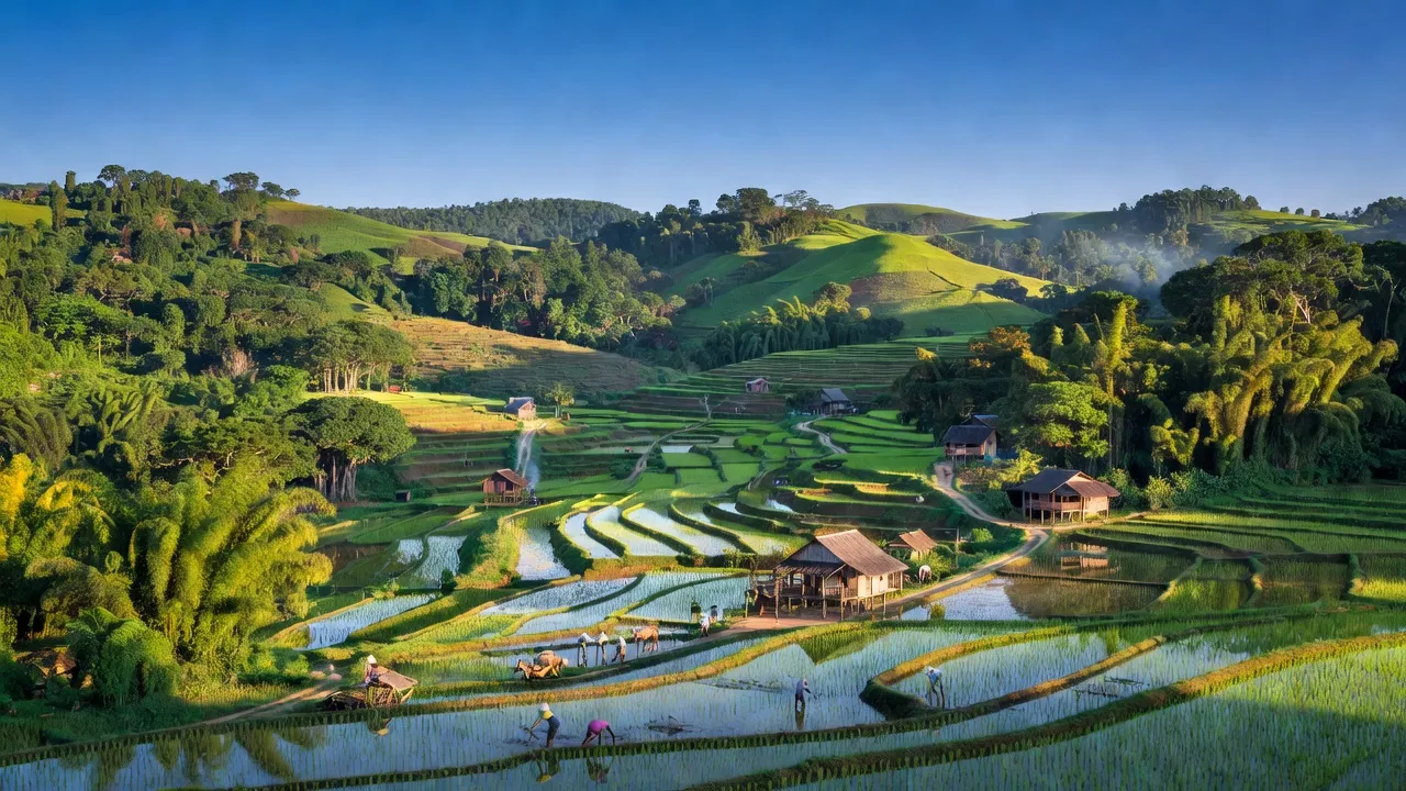 Khung cảnh xã Trà Vinh, huyện Nam Trà My, tỉnh Quảng Nam với đồi núi và rừng xanh.