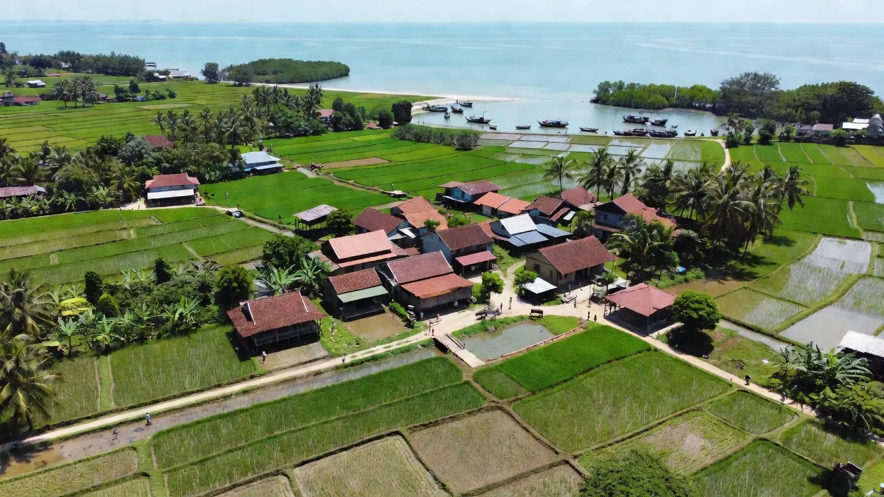 Khung cảnh xã Tam Hiệp, huyện Núi Thành với cánh đồng xanh tươi và kiến trúc địa phương.