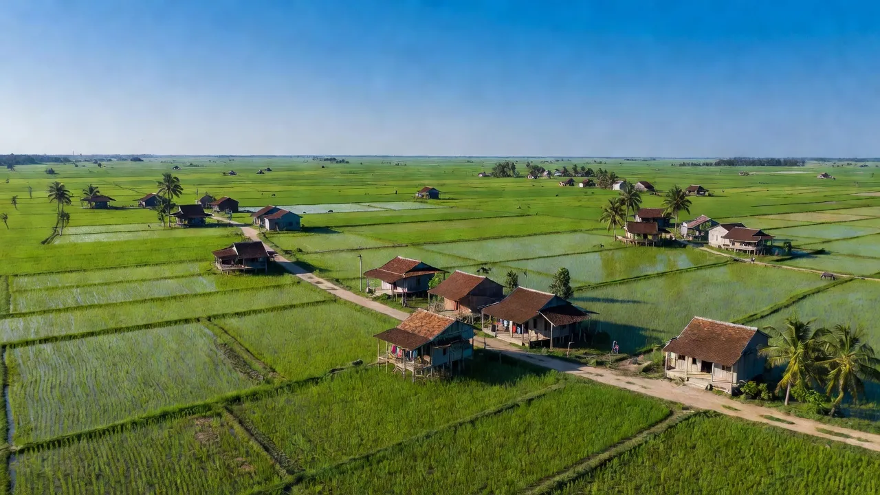 Huyện Tân Phước, Tỉnh Tiền Giang - Giới thiệu quận huyện