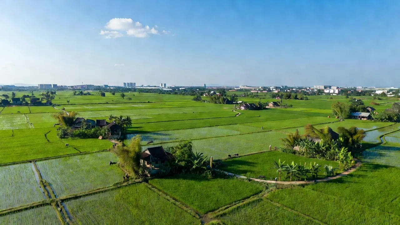 Khung cảnh huyện Vĩnh Tường, tỉnh Vĩnh Phúc với cánh đồng xanh tươi và cơ sở hạ tầng hiện đại.